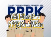Nasib Para Pejuang PPPK Paruh Waktu Harus Menelan Ludah Dalam Ketidak Pastian THR
