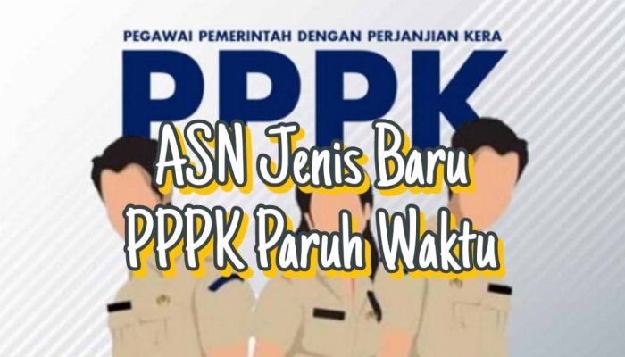 Nasib Para Pejuang PPPK Paruh Waktu Harus Menelan Ludah Dalam Ketidak Pastian THR