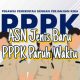 Nasib Para Pejuang PPPK Paruh Waktu Harus Menelan Ludah Dalam Ketidak Pastian THR