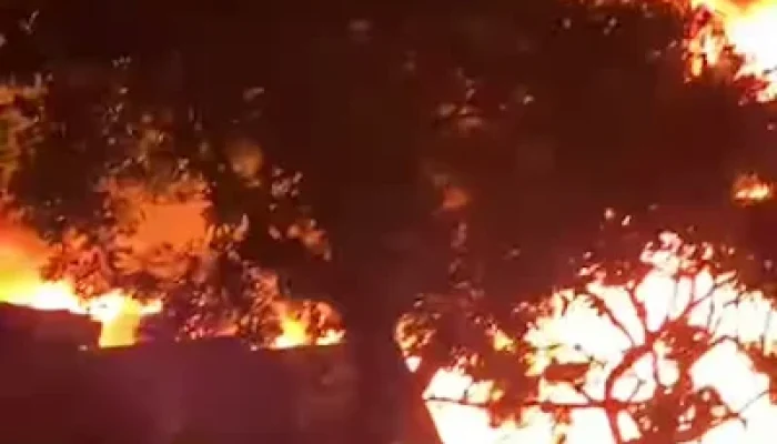 Diduga Akibat Arus Pendek Listrik, Rumah Panggung Musnah Dilalap Api